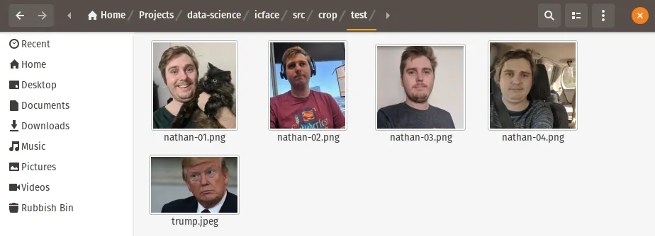 ICface Input images