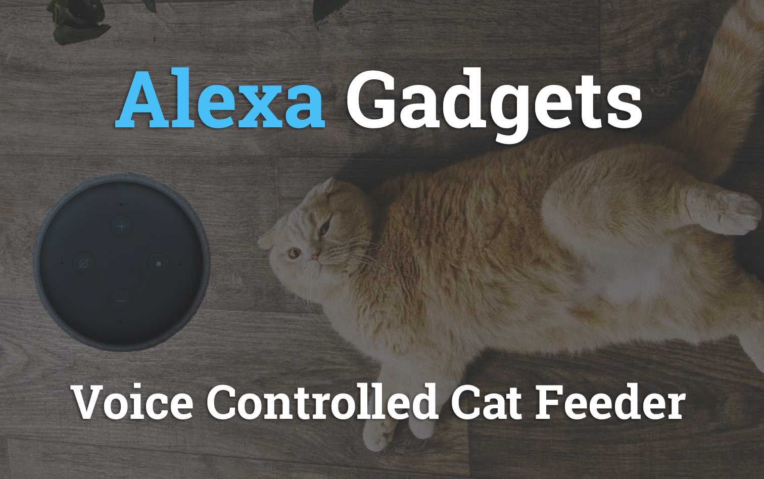 Alexa Gadgets Introduction - Voice Controlled Cat Feeder