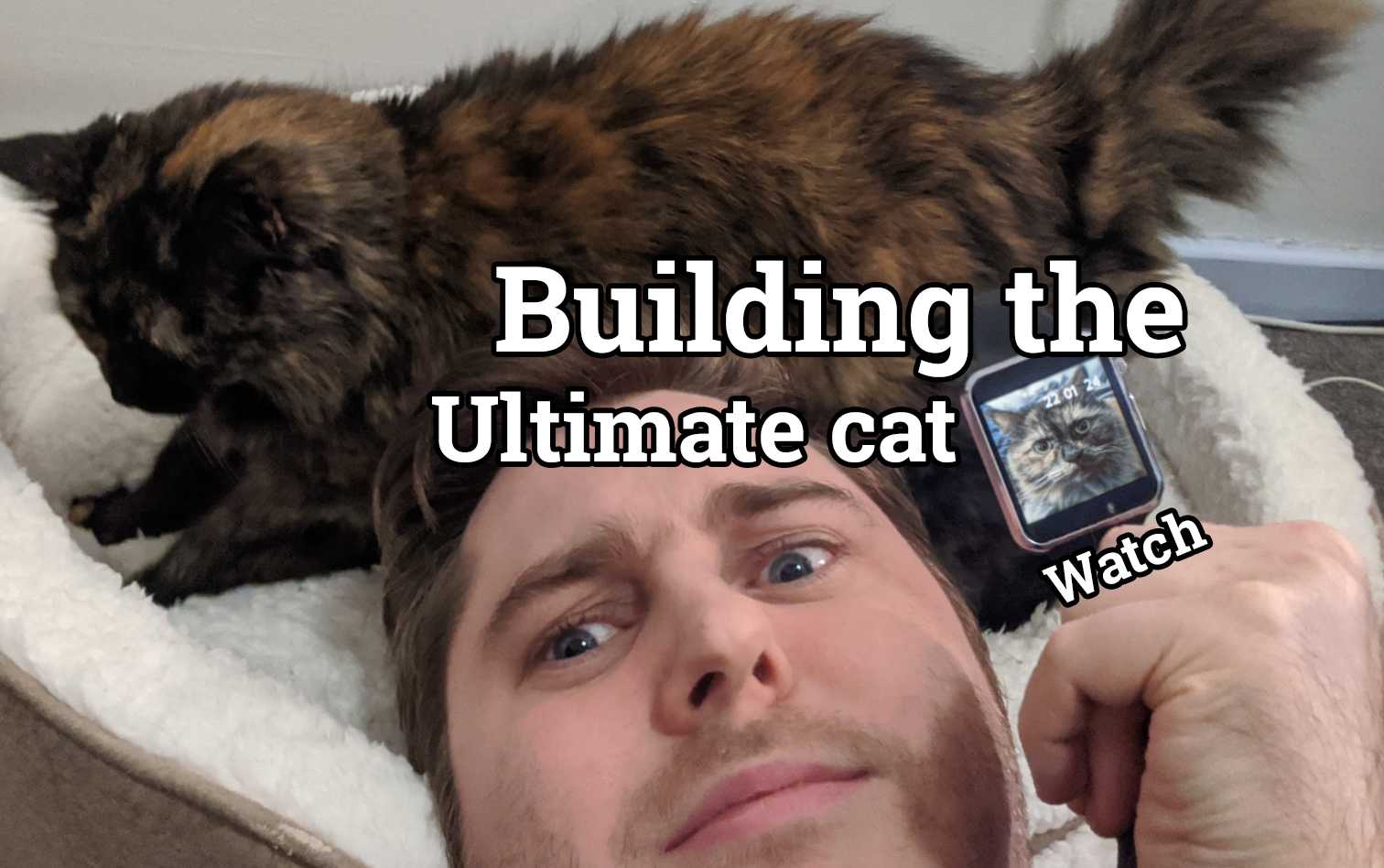 Building the ultimate cat watch