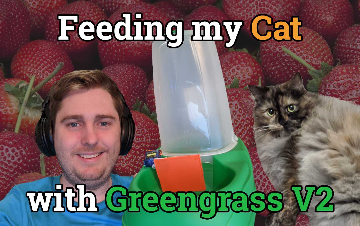 Feeding my cat with AWS IoT GreengrassV2