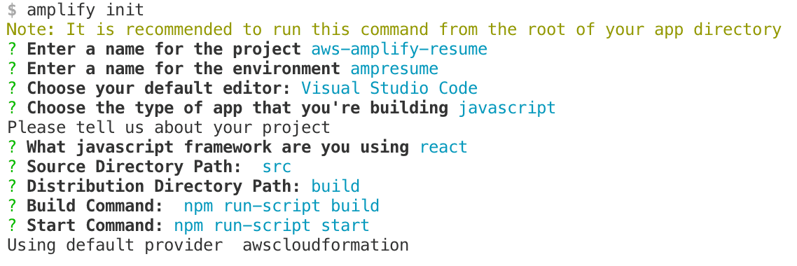 amplify init command options