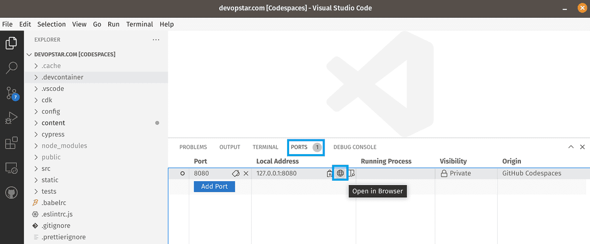 Open port in browser in VSCode