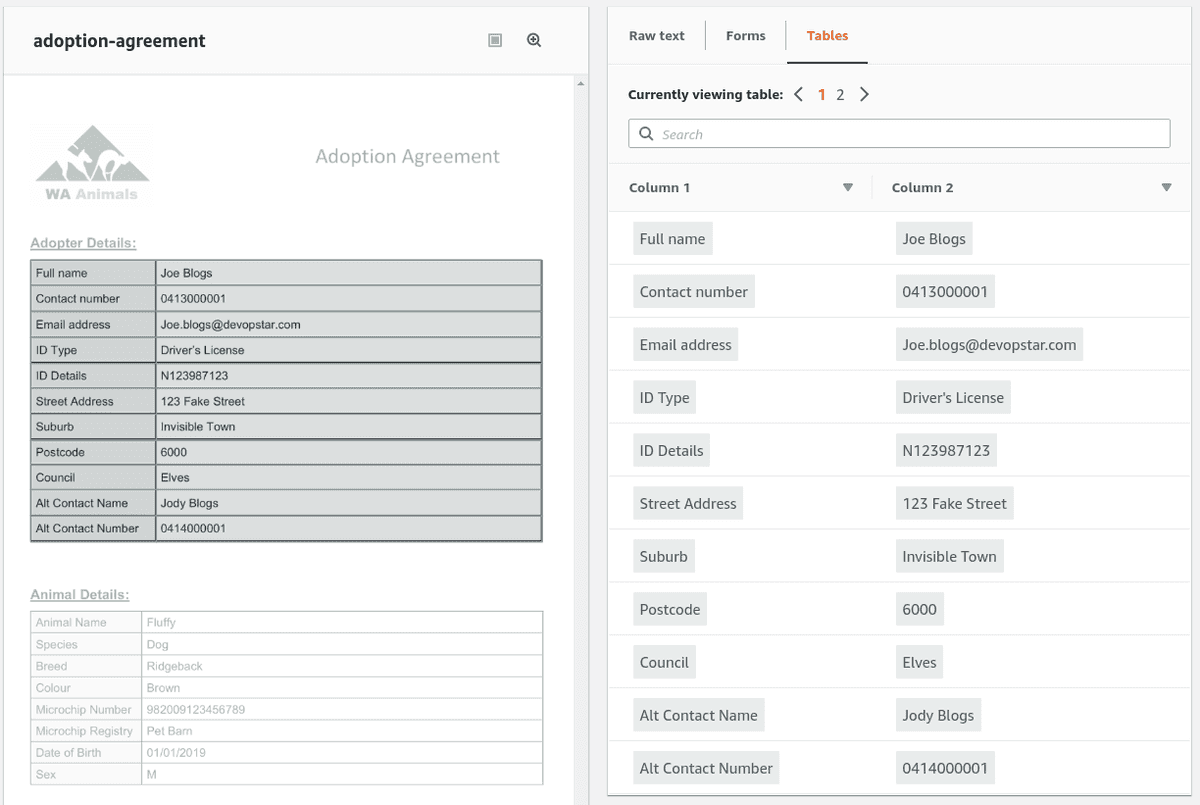 Basic text of the Textract to process Adoption form data