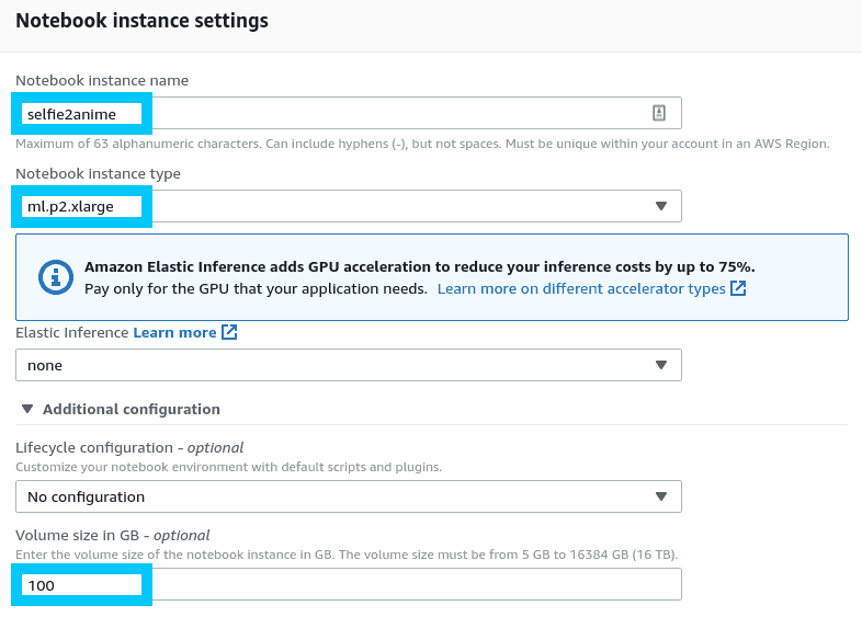 AWS SageMaker Notebook instance settings