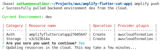 Amplify push