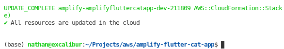 Amplify successful push