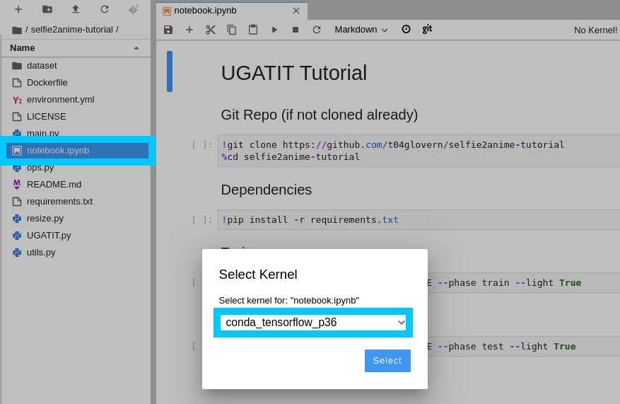 AWS SageMaker Notebook Set Kernel