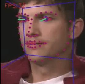 ICface action point visual example