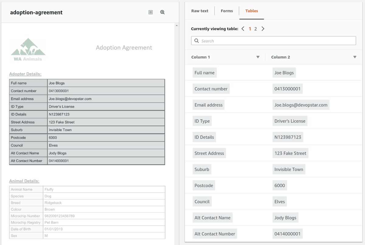 Basic text of the Textract to process Adoption form data